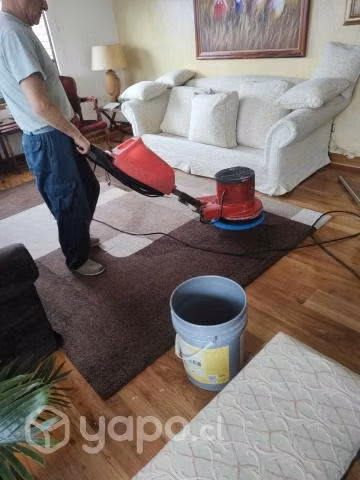 Lavador de alfombra
