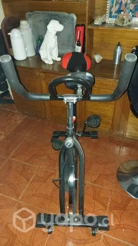 Bicicleta ejercicio
