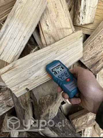 Leña seca eucalipto