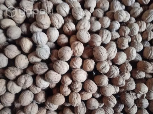 Ricas Nueces - Imagen 2