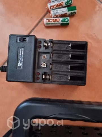 Cargador de pilas más pilas recargables