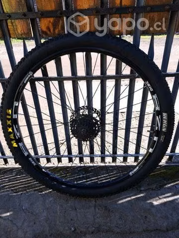 Rueda trasera completa