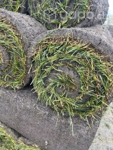Pasto natural en rollos