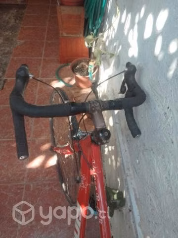 Bicicleta rutera - Imagen 2
