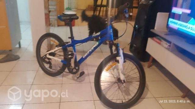 Bicicleta - Imagen 5