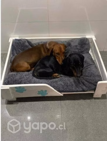 Camitas para tus mascotas