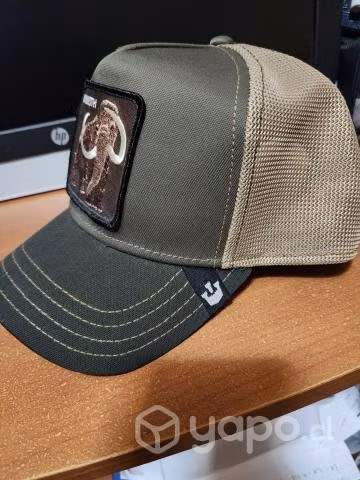 Gorra goorin bros - Imagen 2