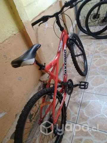 Bicicleta oxford aro 24 - Imagen 2