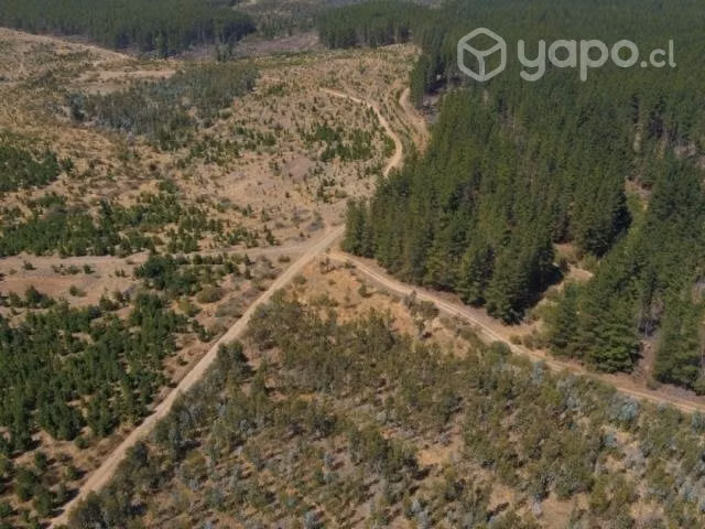 Parcelas De Agrado En Cauquenes Alto Las Garzas