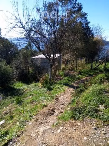 terreno