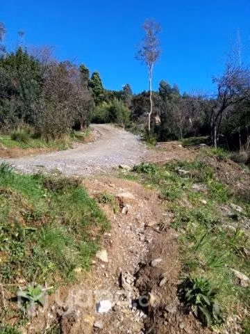 terreno