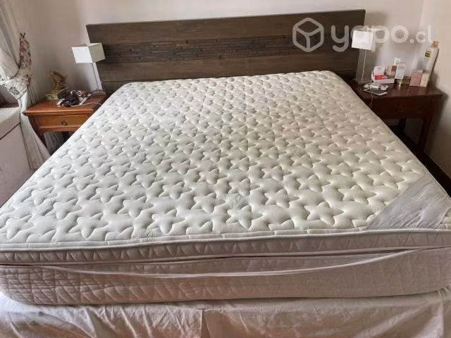 Cama boxpring + colchon