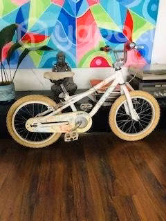 Bicicleta GT