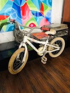 Bicicleta GT