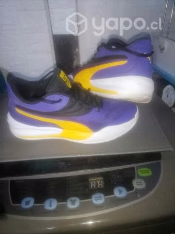 Puma lakers