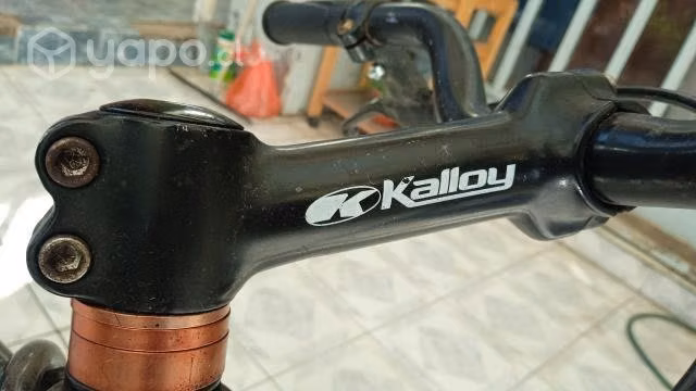 Biciclet fixie - Imagen 2
