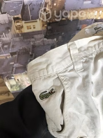 Short Lacoste - Imagen 4
