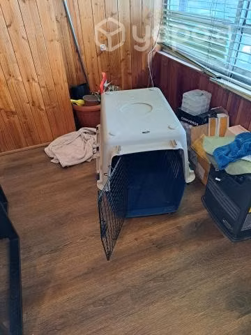 Caja Transporte de mascotas_Canil