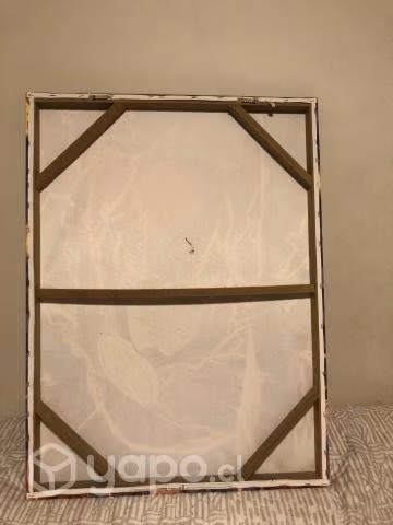 Cuadro de Flash - Imagen 2