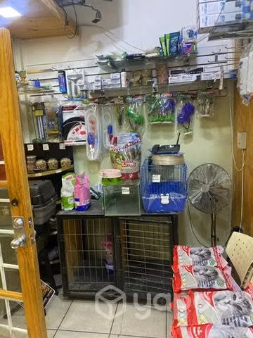 pet veterinaria - Imagen 3