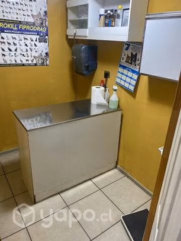 pet veterinaria - Imagen 4
