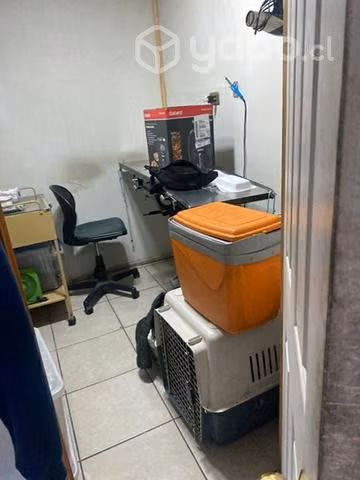 pet veterinaria - Imagen 5