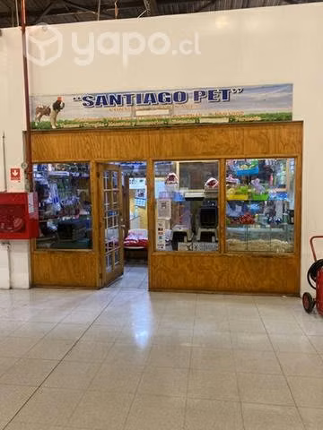 pet veterinaria