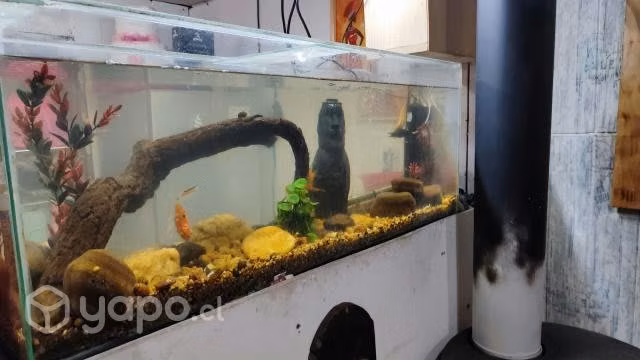 Pecera 80 lts - Imagen 2