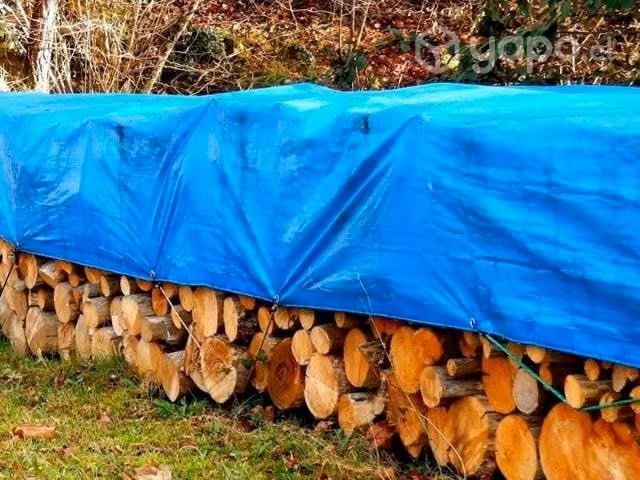 Carpa 2x3 ,4x5 ,7x8 y10x8engomado