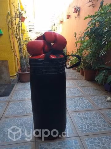 Saco Box + guantes