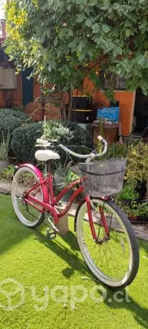 Bicicleta de Paseo Hermosa - Imagen 2