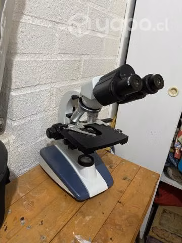 Microscopio binocular