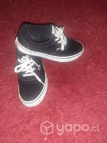 Zapatilla marca vanz 37