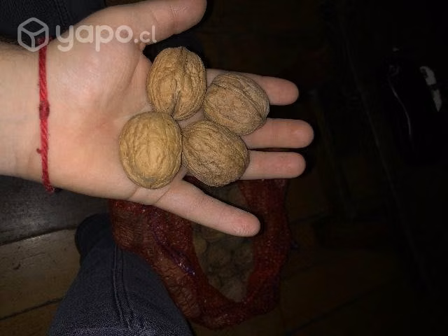 nueces de primera