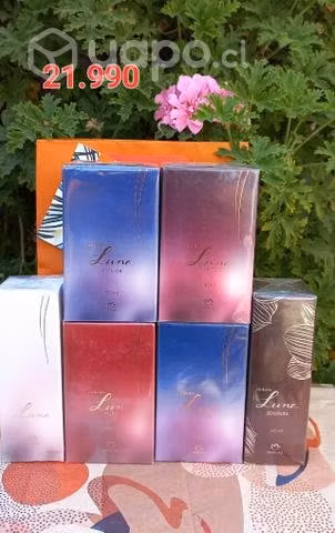 Perfumes Femeninos de Natura