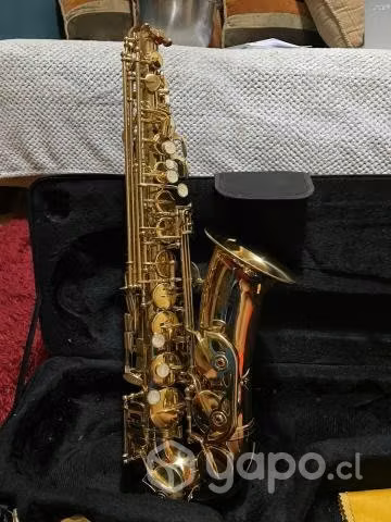 Saxofón alto marca etinger