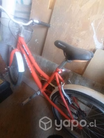 Bicicleta