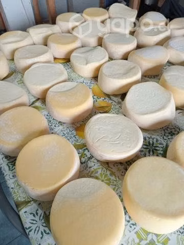 Queso