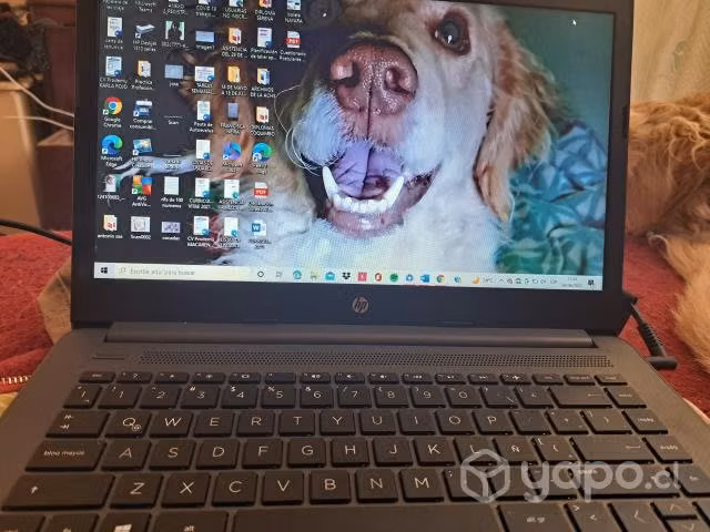 Notebook HP 240G7/ Intel inside. - Imagen 4