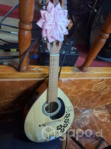 Mandolina electroacustica - Imagen 3