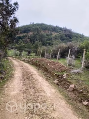Parcela