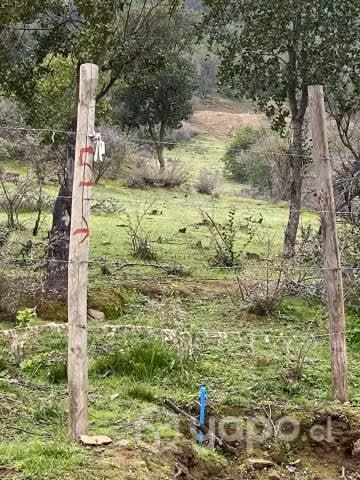 Parcela