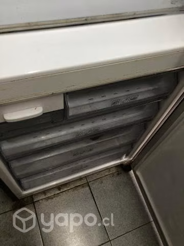 Refrigerador dos cuerpos Samsung