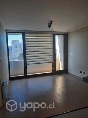 Arriendo junio Centro Lagos II