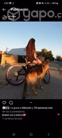 Bicicleta en perfecto estado - Imagen 3