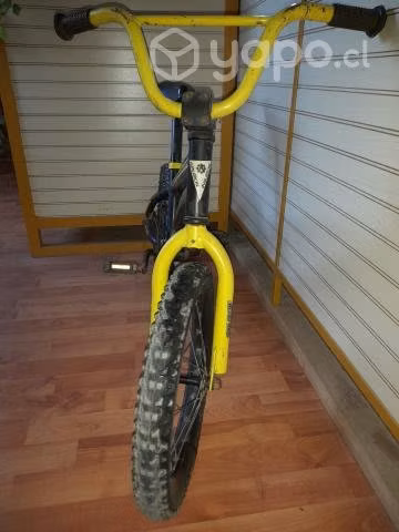 Bicicleta