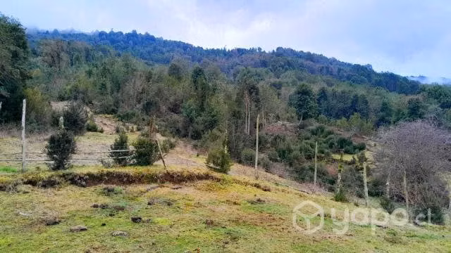Terreno de 5,5 HA Cochamó - Imagen 7