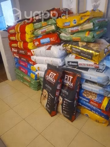 Alimentos para su perrito - Imagen 6