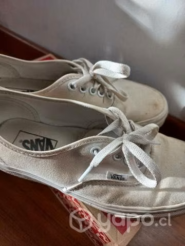 Vans authentic true white