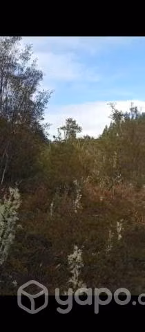 Terreno ubicado en Ancud frente al rio
